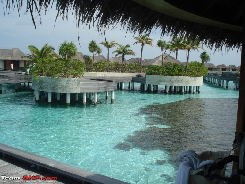 Maldives Ahoy... A Picturelogue !!!-dsc01872-800x600.jpg