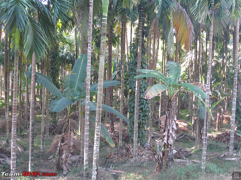 Coastal Karnataka-363.jpg