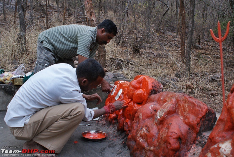 One Lucky Sunday At Ranthambhore- 24/03/12 Trip Report!!-dsc09199.jpg