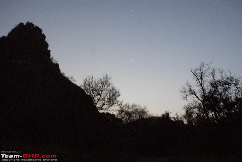 One Lucky Sunday At Ranthambhore- 24/03/12 Trip Report!!-dsc09212.jpg