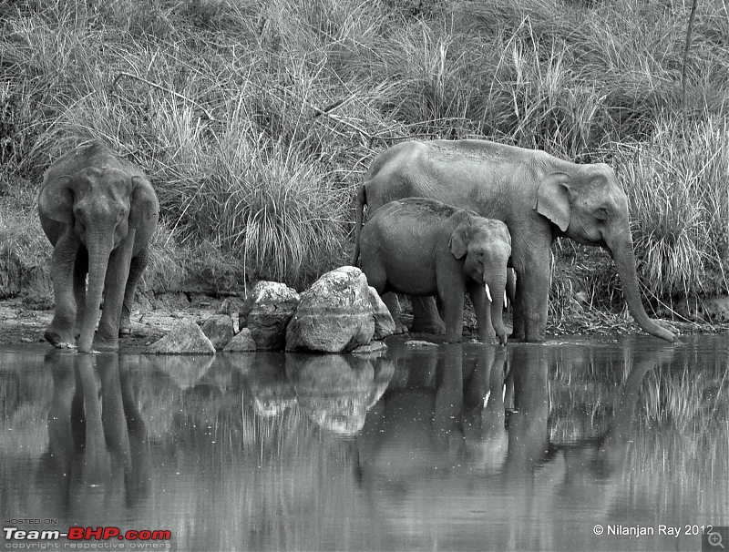 Exploring the Great Indian Outdoors-dsc_2232.jpg