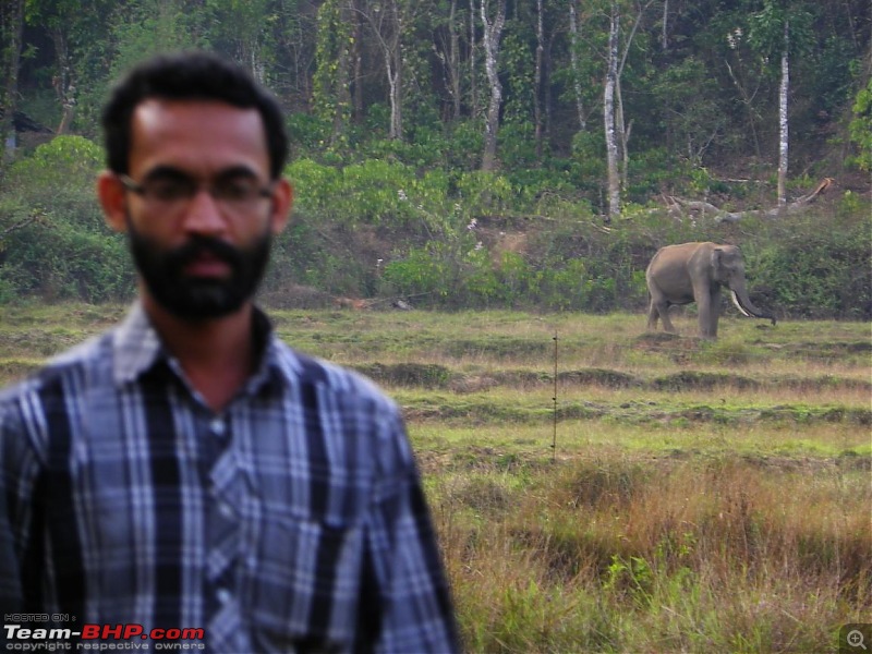 Operation Tiger: Wayanad-pramod-caretaker.jpg