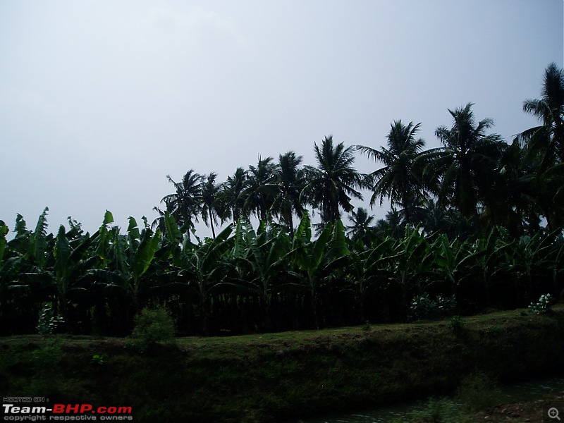 Road trip thru part of Coastal Andhra-p1010137.jpg