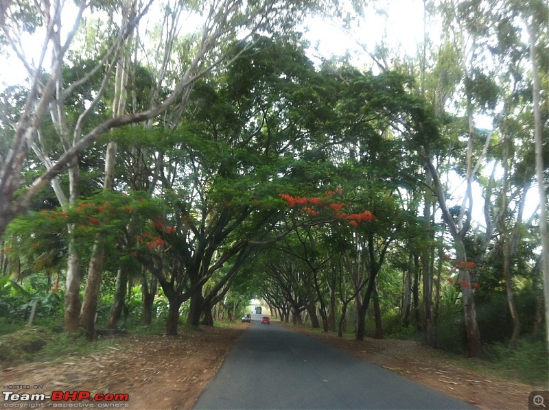 Exploring the Anaimalai Rain forests around Valparai-img_2766.jpg