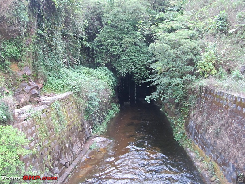 Exploring the Anaimalai Rain forests around Valparai-img_1928.jpg