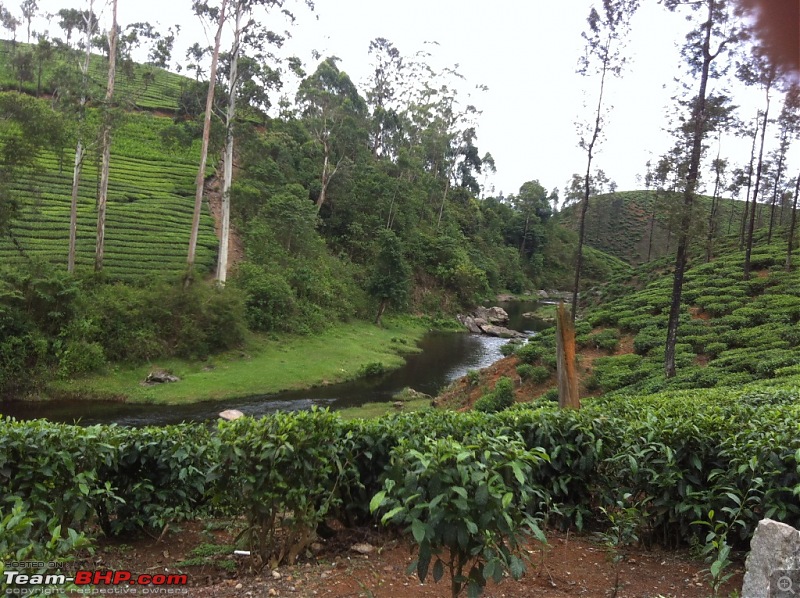 Exploring the Anaimalai Rain forests around Valparai-img_2814.jpg