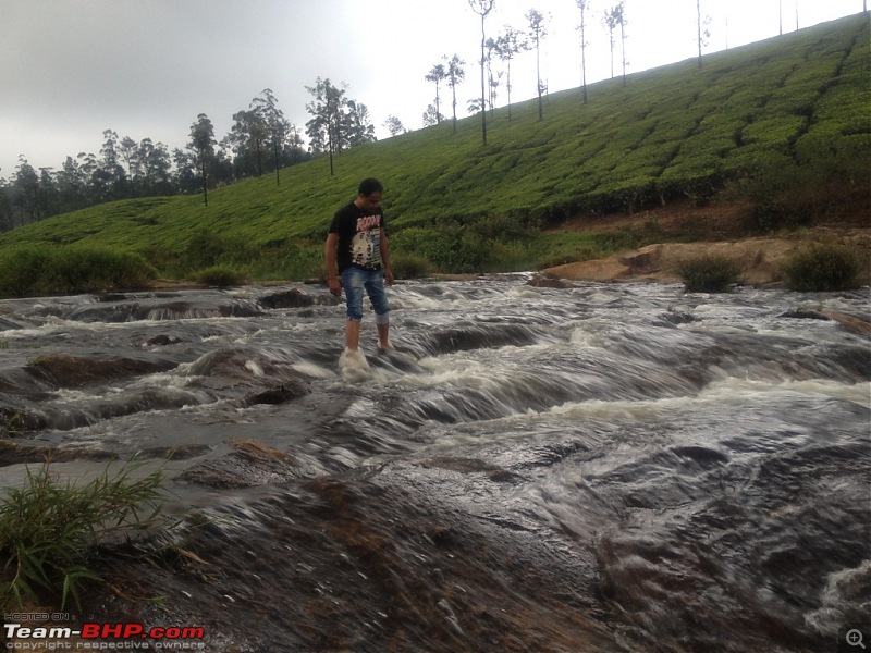 Exploring the Anaimalai Rain forests around Valparai-img_0283.jpg