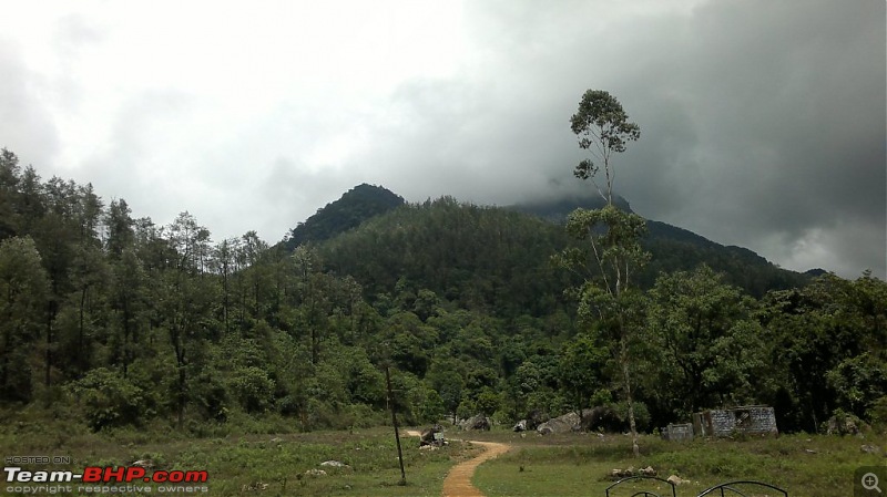 Exploring the Anaimalai Rain forests around Valparai-29042012984.jpg