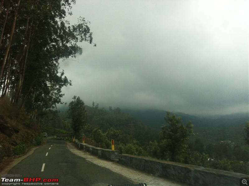 Exploring the Anaimalai Rain forests around Valparai-img_3211.jpg