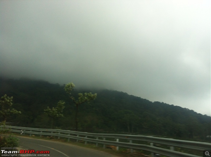 Exploring the Anaimalai Rain forests around Valparai-img_3219.jpg