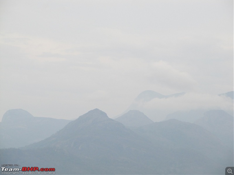 Exploring the Anaimalai Rain forests around Valparai-img_2173.jpg