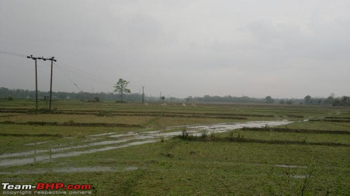 A special farm from rural Assam-563050_10150690019072997_731132996_9426017_1616531889_n.jpg