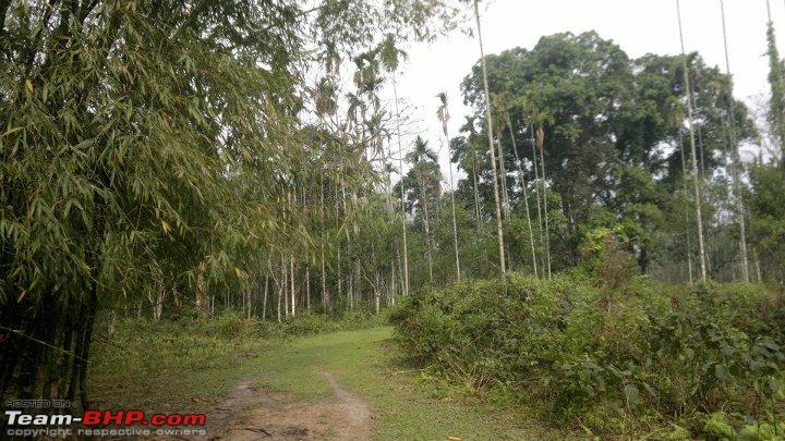 A special farm from rural Assam - Team-BHP