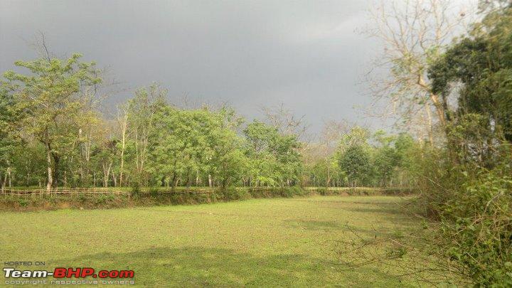 A special farm from rural Assam - Team-BHP