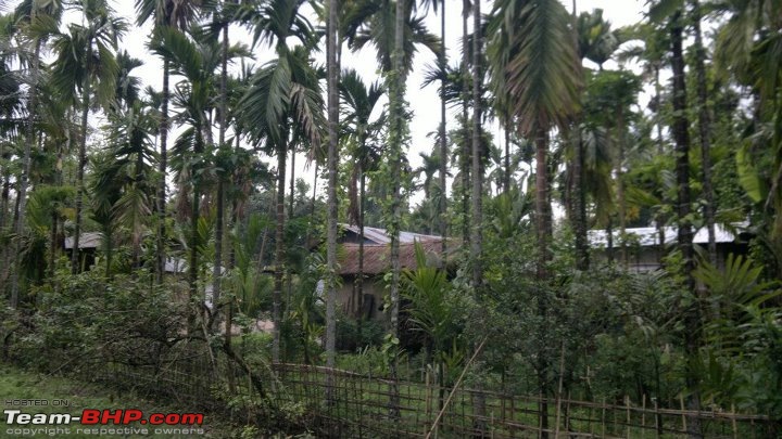 A special farm from rural Assam-575000_10150690079212997_731132996_9426252_1082552085_n.jpg