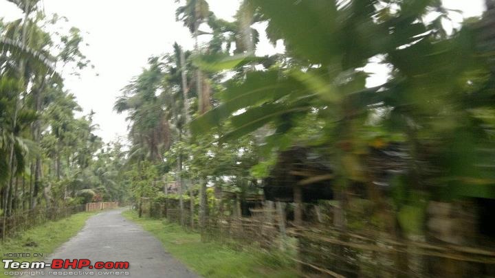 A special farm from rural Assam-529985_10150690081682997_731132996_9426280_1953916218_n.jpg