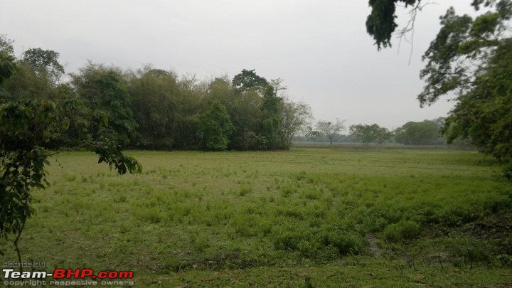 A special farm from rural Assam-580162_10150690081927997_731132996_9426283_126818385_n.jpg