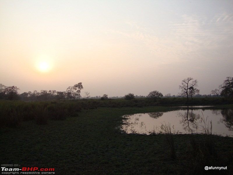 Guwahati - Kaziranga - Shillong trip-059dsc01770.jpg