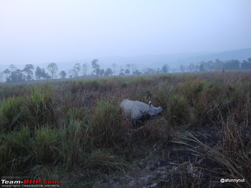 Guwahati - Kaziranga - Shillong trip-130dsc01861.jpg