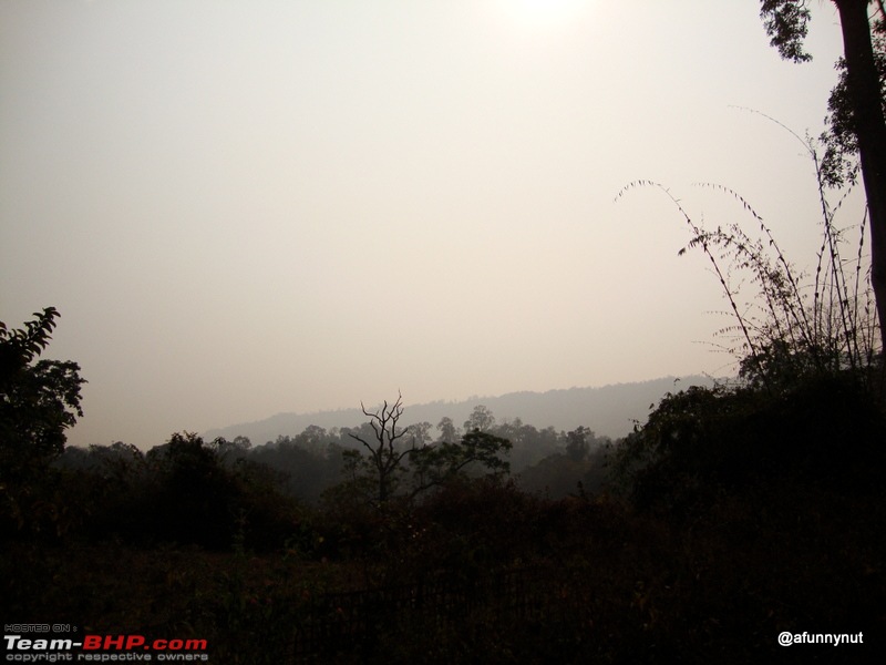 Guwahati - Kaziranga - Shillong trip-201dsc01935.jpg