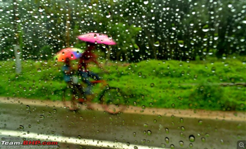 chasing the monsoon no ordinary world
