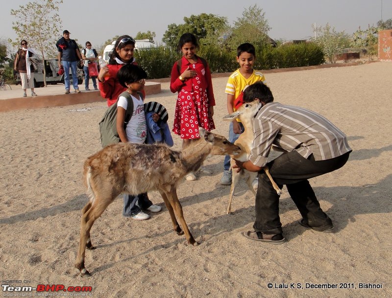 Rajasthan - Padharo Mhare Des-dsc02686.jpg