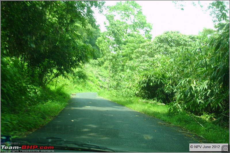 Dizzy Drive : Wonderful Valparai (enchanted by Sinnadorai's Bungalow) and more!-31.jpg