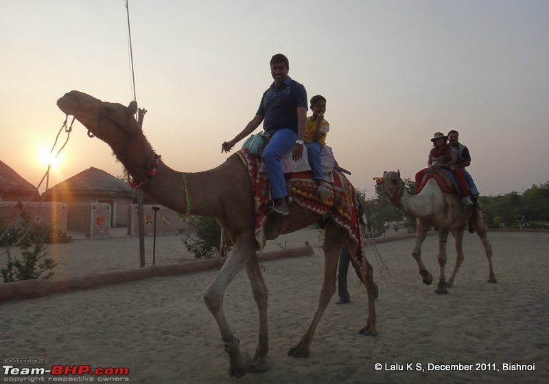 Rajasthan - Padharo Mhare Des-dsc02725.jpg