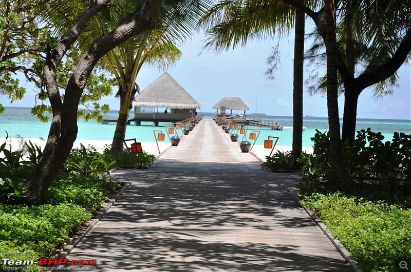 Maldives - An Exotic Paradise!-0034.jpg