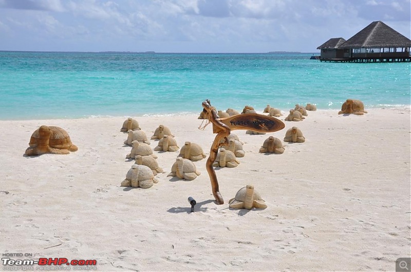 Maldives - An Exotic Paradise!-0129.jpg