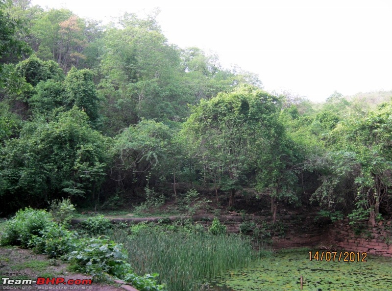 Ahobilam : A small village nestled amongst the Nallmalla Hills-img_1163-800x593.jpg