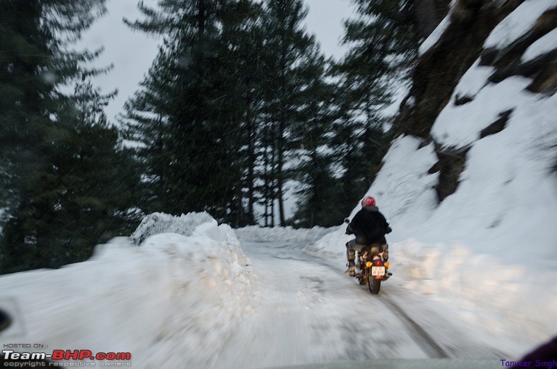 Soaring with the eagles : The ice road to Gangotri-dsc3946lrl.jpg