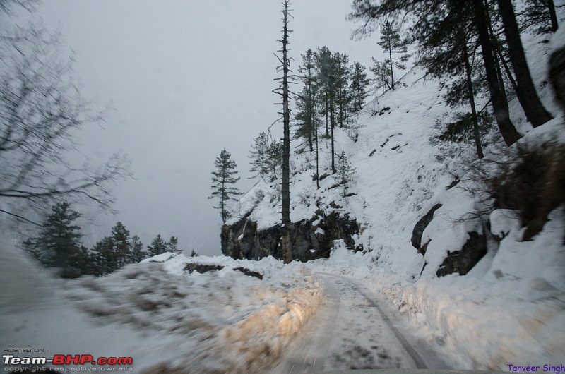 Soaring with the eagles : The ice road to Gangotri-dsc3948lrl.jpg
