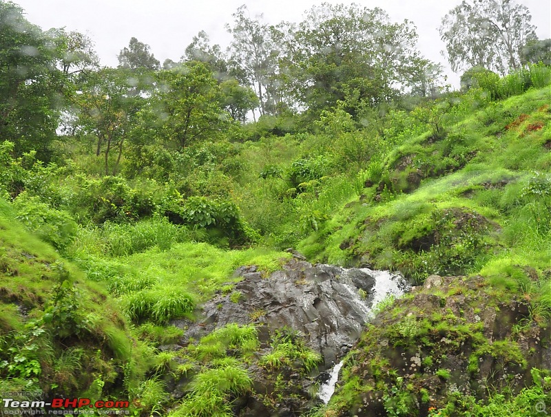 Chasing the fog and the waterfalls - A weekend trip to Mahabaleshwar and Tapola-dsc_0072.jpg