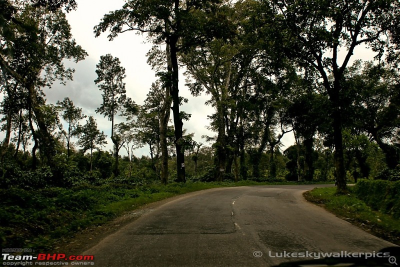 Sakleshpur - Been there yet ? (A drive in the rains)-2.jpg