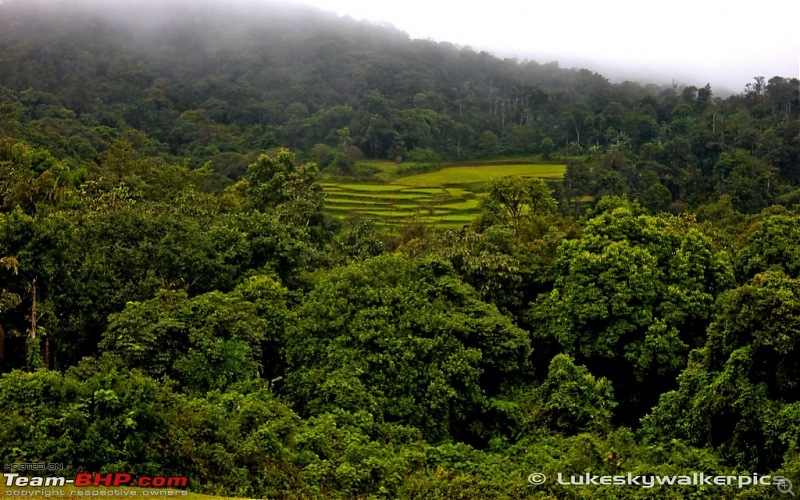 Sakleshpur - Been there yet ? (A drive in the rains)-scenery.jpg