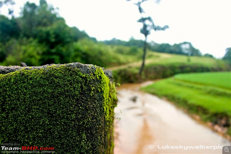 Sakleshpur - Been there yet ? (A drive in the rains)-32.jpg