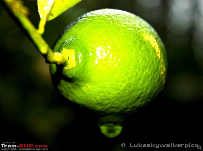 Sakleshpur - Been there yet ? (A drive in the rains)-43.jpg