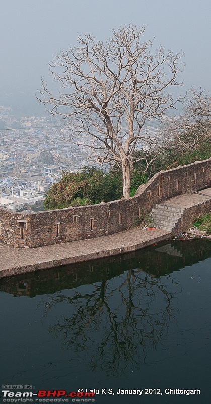 Rajasthan - Padharo Mhare Des-dsc_5152.jpg