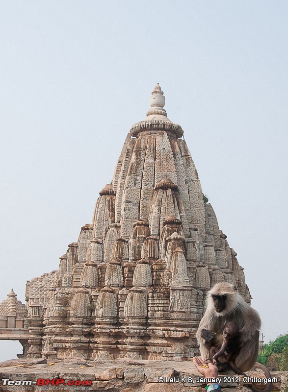 Rajasthan - Padharo Mhare Des-dsc_5246.jpg