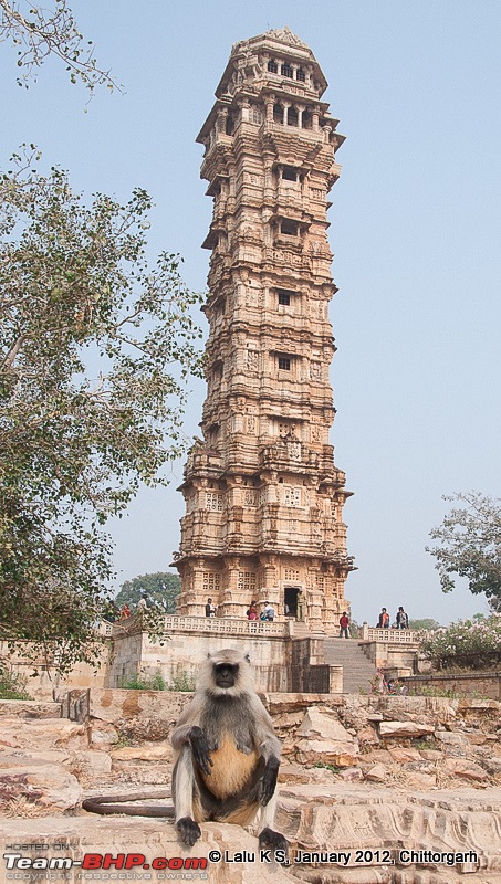 Rajasthan - Padharo Mhare Des-dsc_5248.jpg