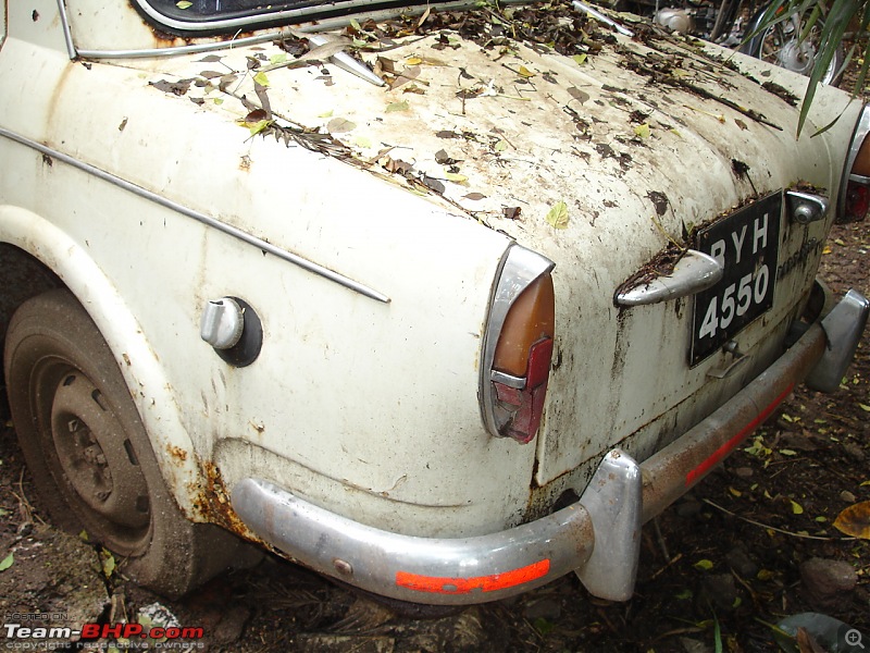 Rust In Pieces... Pics of Disintegrating Classic & Vintage Cars-fiat04.jpg