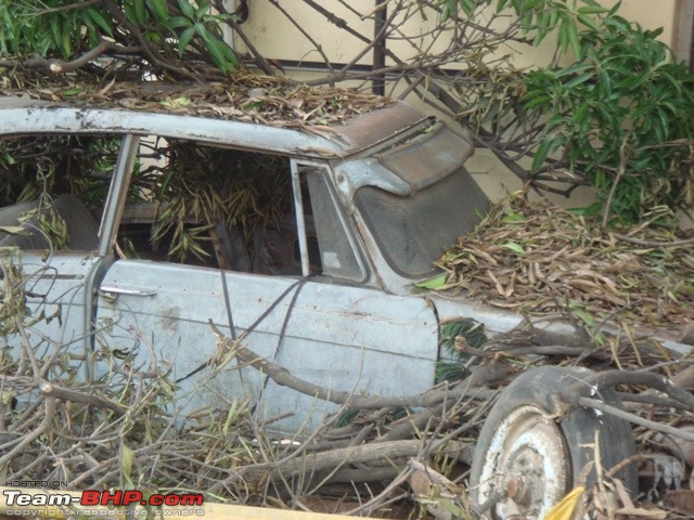 Rust In Pieces... Pics of Disintegrating Classic & Vintage Cars-dsc02465.jpg