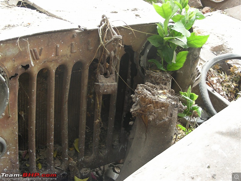 Rust In Pieces... Pics of Disintegrating Classic & Vintage Cars-dscn3441.jpg