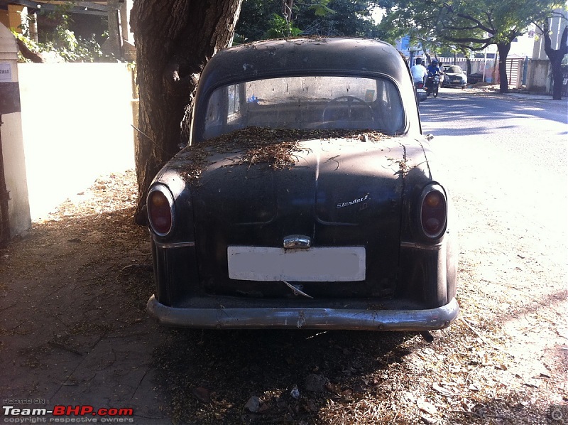 Standard cars in India-photo6.jpg