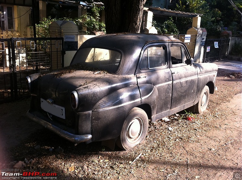 Standard cars in India-photo7.jpg