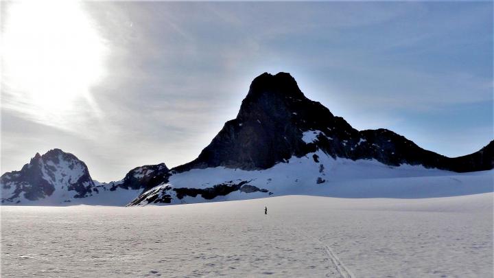 2 guys & a dog flew to Juneau Icefield in Alaska in old Cessna aircraft 