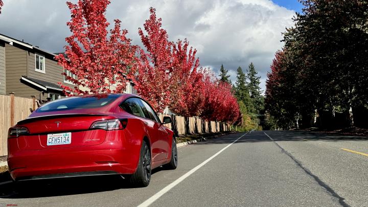 New Model 3 Performance To Be Available Next Year and Will Be 'Pretty  Special', According to Report