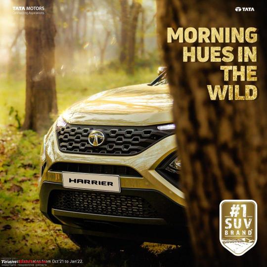 More pics: Tata Kaziranga edition SUVs with new colour teased 