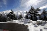 White Travelogue - Kalpa-Sangla-Narkanda